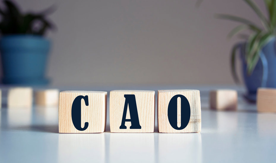 AVV voor cao-Afbouw